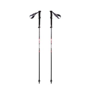 WEIS - BASTON  Z-COMPACT LITE CARBON