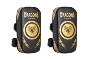 DRAGONS - ESCUDOS PAOS PAR