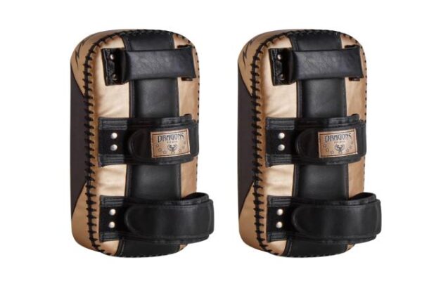 DRAGONS - ESCUDOS PAOS PAR