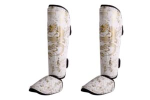 DRAGONS - PROT TIBIAL PAR