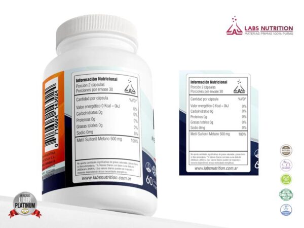 LABS NUTRITION - MSM METIL SULFONIL METANO 60CAPS