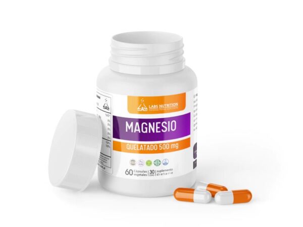 LABS NUTRITION - MAGNESIO QUELATADO 60CAPS