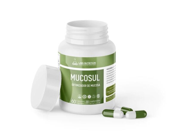 LABS NUTRITION - MUCOSUL X 60CAPS
