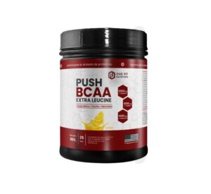 ONE FIT - PUSH BCAA 360GR