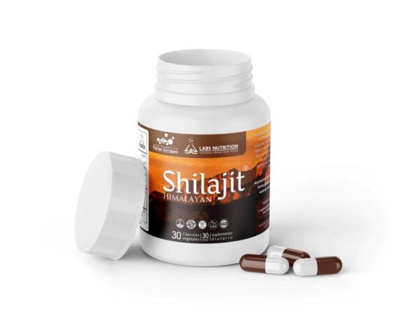 LABS NUTRITION - SHILAJIT X 30CAPS