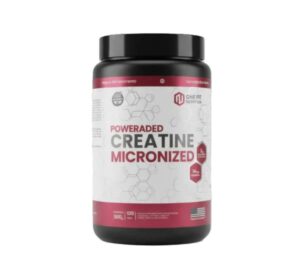 ONE FIT - CREATINE MICRONIZED 500GR